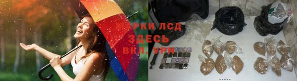 apvp Армянск