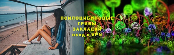 меф Арсеньев